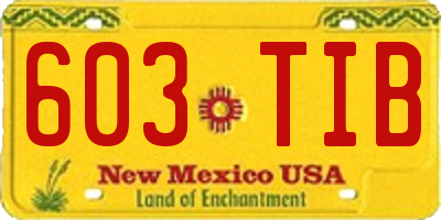 NM license plate 603TIB