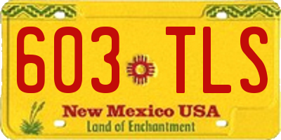 NM license plate 603TLS