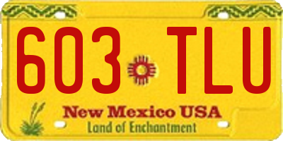 NM license plate 603TLU