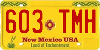 NM license plate 603TMH