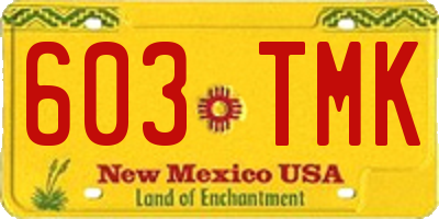 NM license plate 603TMK