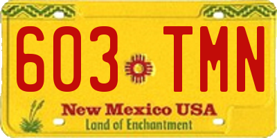 NM license plate 603TMN