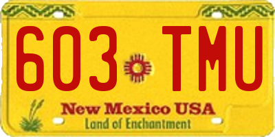 NM license plate 603TMU