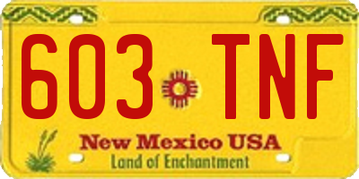 NM license plate 603TNF