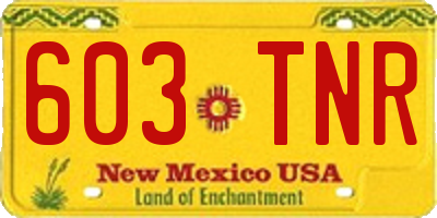 NM license plate 603TNR