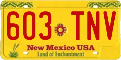 NM license plate 603TNV