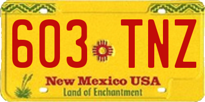 NM license plate 603TNZ