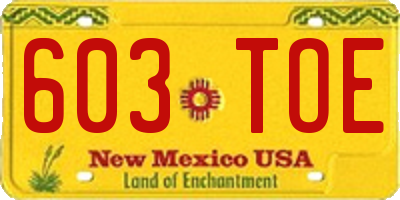 NM license plate 603TOE