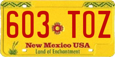 NM license plate 603TOZ