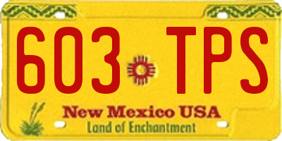 NM license plate 603TPS