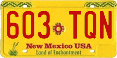 NM license plate 603TQN