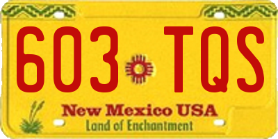 NM license plate 603TQS