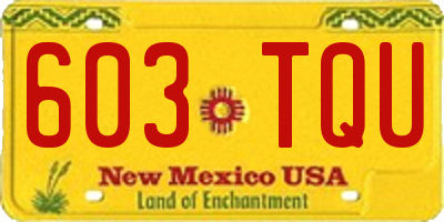 NM license plate 603TQU