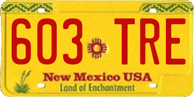 NM license plate 603TRE