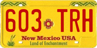 NM license plate 603TRH