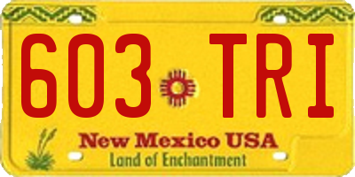 NM license plate 603TRI