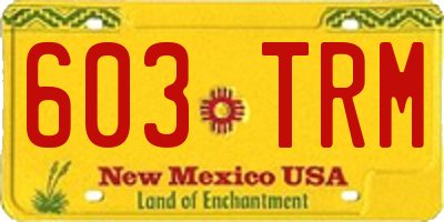 NM license plate 603TRM