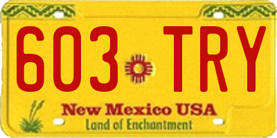 NM license plate 603TRY