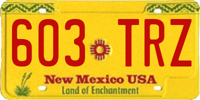 NM license plate 603TRZ