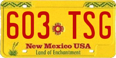 NM license plate 603TSG