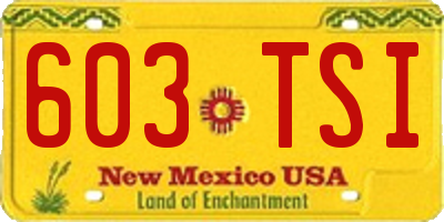 NM license plate 603TSI