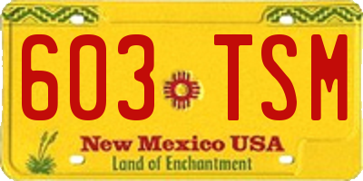 NM license plate 603TSM