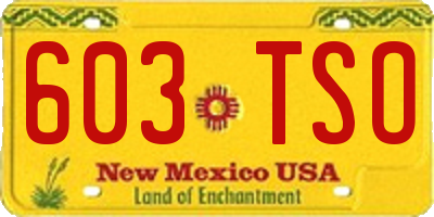 NM license plate 603TSO