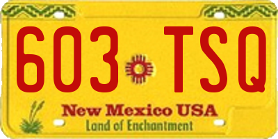 NM license plate 603TSQ