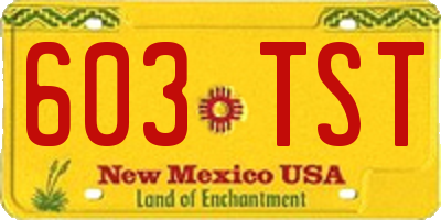 NM license plate 603TST