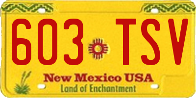 NM license plate 603TSV