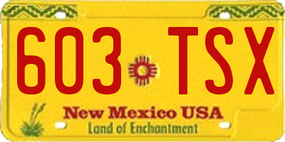 NM license plate 603TSX
