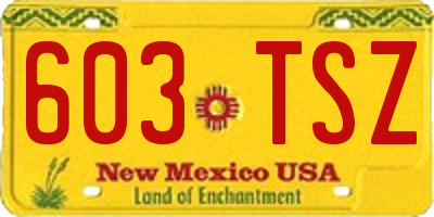 NM license plate 603TSZ