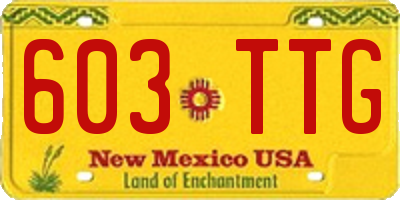 NM license plate 603TTG