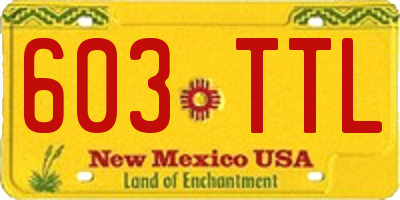 NM license plate 603TTL