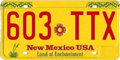 NM license plate 603TTX