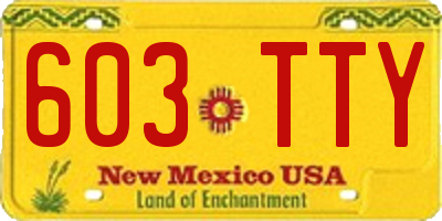 NM license plate 603TTY