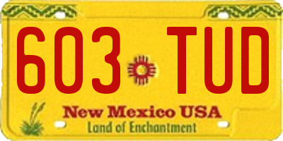 NM license plate 603TUD