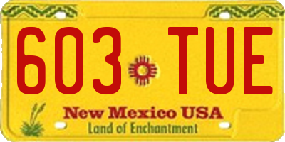 NM license plate 603TUE