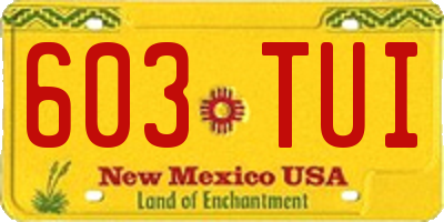 NM license plate 603TUI