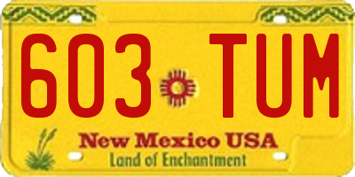 NM license plate 603TUM