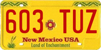 NM license plate 603TUZ