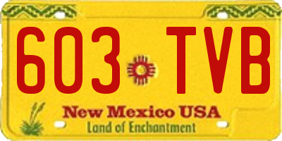 NM license plate 603TVB