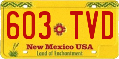 NM license plate 603TVD