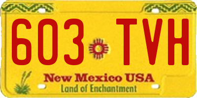 NM license plate 603TVH