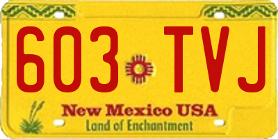 NM license plate 603TVJ