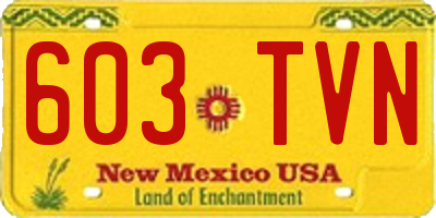 NM license plate 603TVN