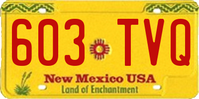 NM license plate 603TVQ