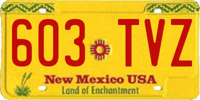NM license plate 603TVZ