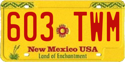 NM license plate 603TWM