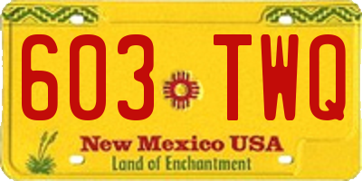 NM license plate 603TWQ